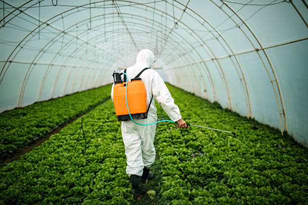 Best Best Pest Control Companies  in Walnut Creek, NC