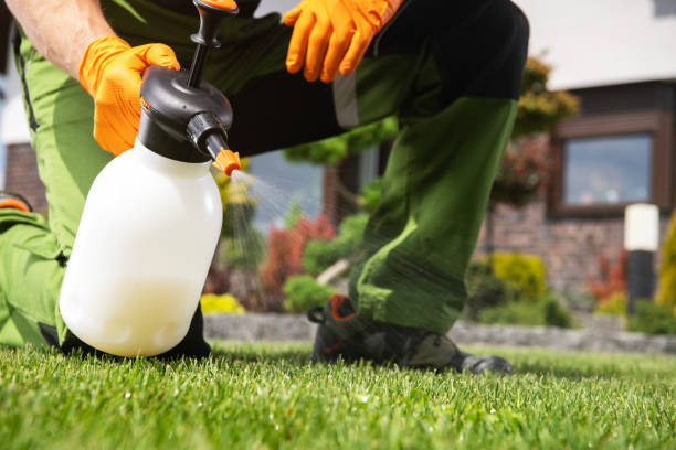 Best Local Pest Control Services  in Walnut Creek, NC