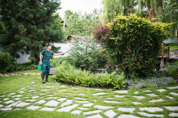 Best Best Pest Control Companies  in Walnut Creek, NC
