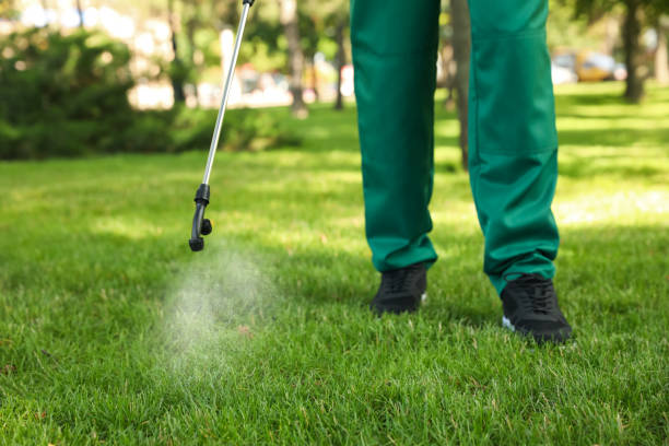 Best Emergency Pest Control  in Walnut Creek, NC