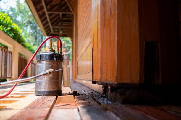 Best Best Pest Control Companies  in Walnut Creek, NC