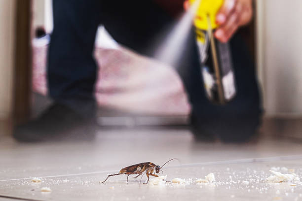 Best Insect Control  in Walnut Creek, NC