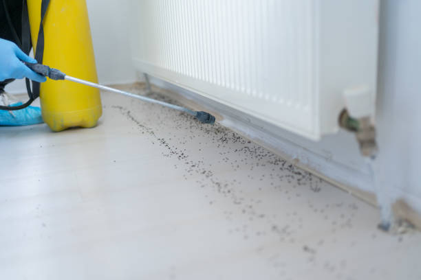Best Ant Control Services  in Walnut Creek, NC