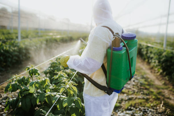 Best Pest Prevention Services  in Walnut Creek, NC